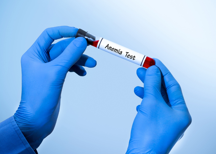 Bloedonderzoek bij honden.