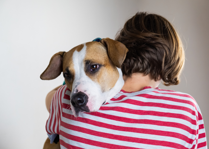 Omhelzing van de hond.