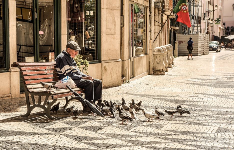 Het voeren van duiven op de markt is zeer populair. Het is echter belangrijk om te onthouden dat duiven geen brood moeten eten.