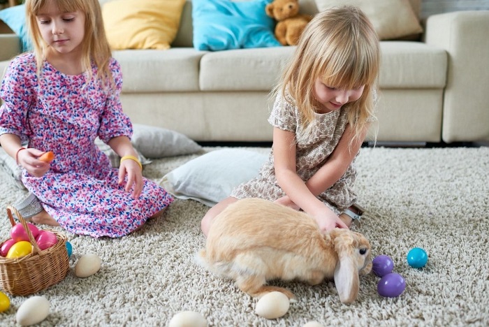 De kinderen spelen met het konijn op het tapijt.