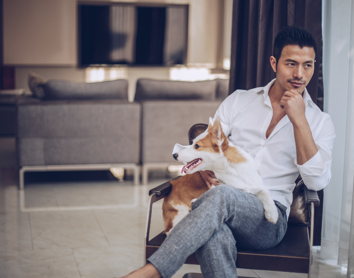 Een hond voor een single in een flatgebouw.
