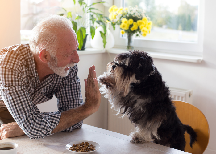 Gepensioneerde met hond.