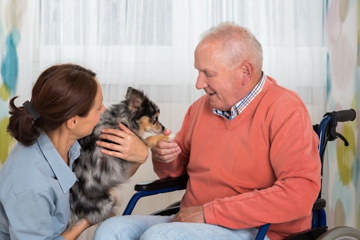 Hondentherapie voor oudere mensen.