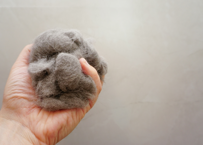 Donshaar of ondervacht.