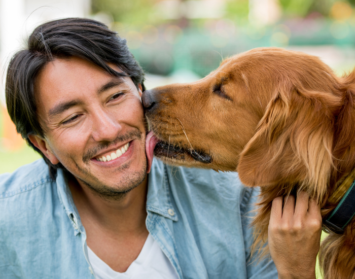Honden voor singles.