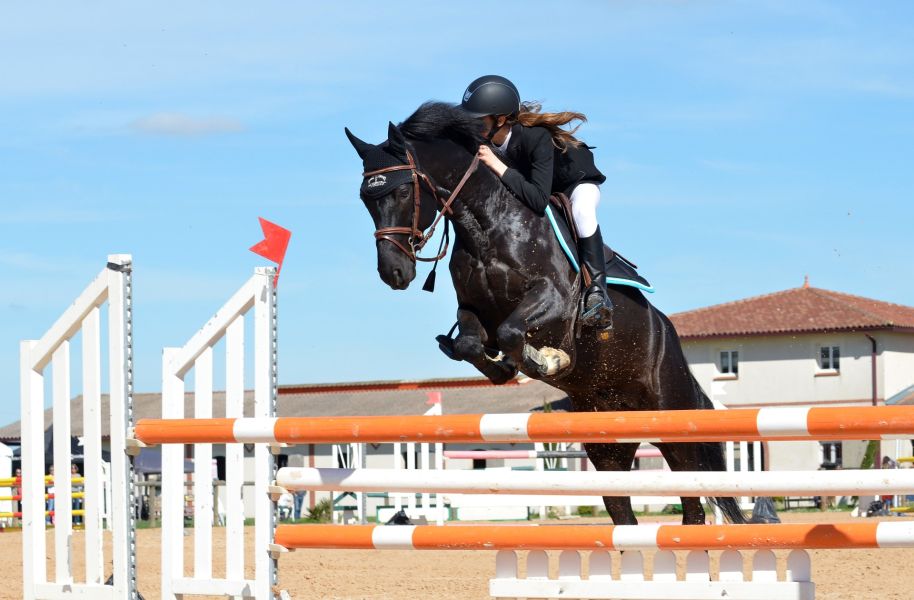 Om met springen op een paard te beginnen, moet men de basisrijtechnieken zoals de draf en zelfs de galop beheersen.