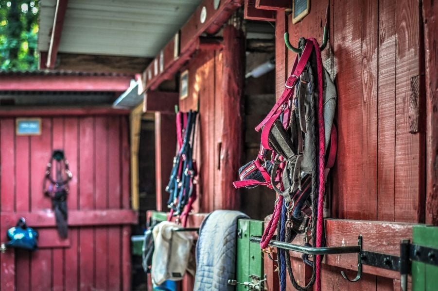 Stallen en individuele paardensportaccessoires zoals stangen, halsters, zadels.