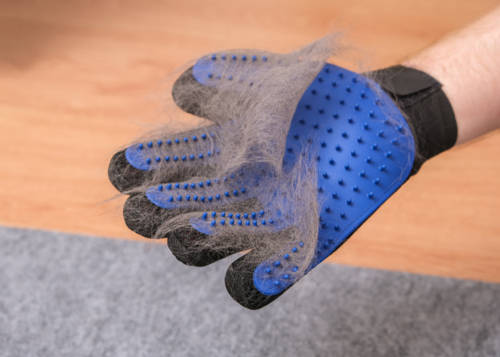 Het ondervacht wordt verwijderd met een vachtverzorgingshandschoen.